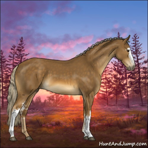 Horse Color:White Spotted Chocolate Palomino