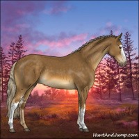 Horse Color:White Spotted Chocolate Palomino 