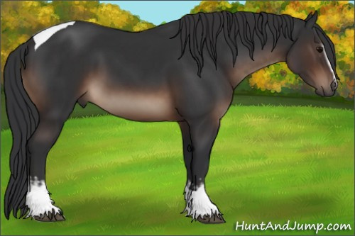 Horse Color:White Spotted Brown Tobiano 