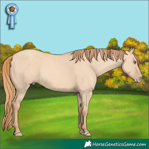 Horse Color:Gold Champagne Dun 