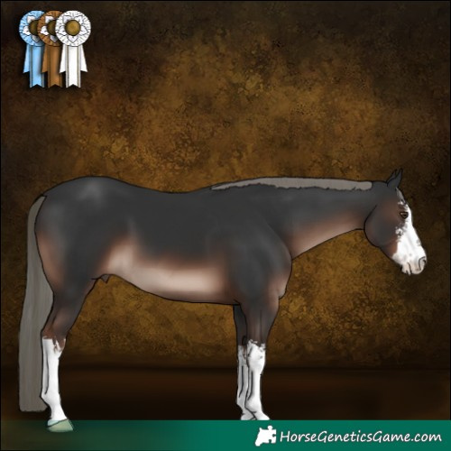 Horse Color:White Spotted Liver Chestnut Mushroom 