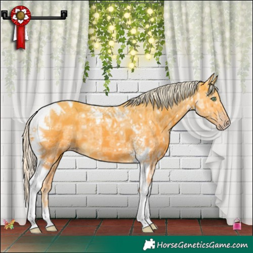 Horse Color:Silver Amber Cream Champagne Ice Tobiano 