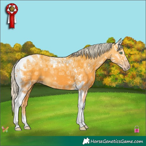 Horse Color:Silver Amber Cream Champagne Ice Tobiano 