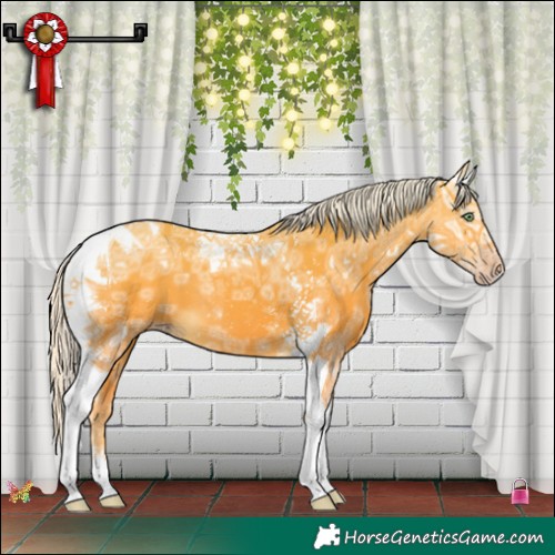 Horse Color:Silver Amber Cream Champagne Ice Tobiano 