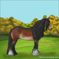 Horse Color:White Spotted Brown 