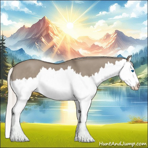 Horse Color:Silver Grullo Splash