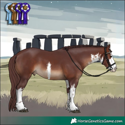 Horse Color:White Spotted Chocolate Brown 