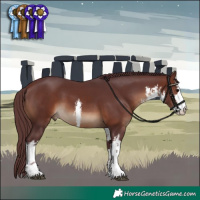 Horse Color:White Spotted Chocolate Brown 