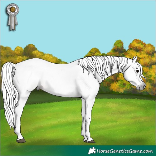 Horse Color:Gray Watercolor White Spotted Black
