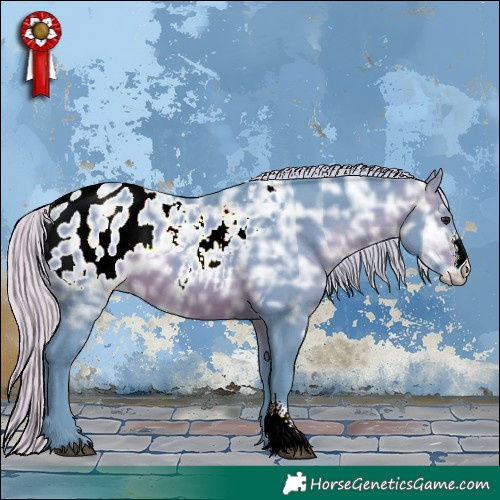 Horse Color:Watercolor Silver Brown Ice Sabino Appaloosa 