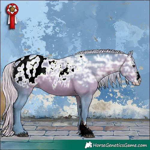 Horse Color:Watercolor Silver Brown Ice Sabino Appaloosa 