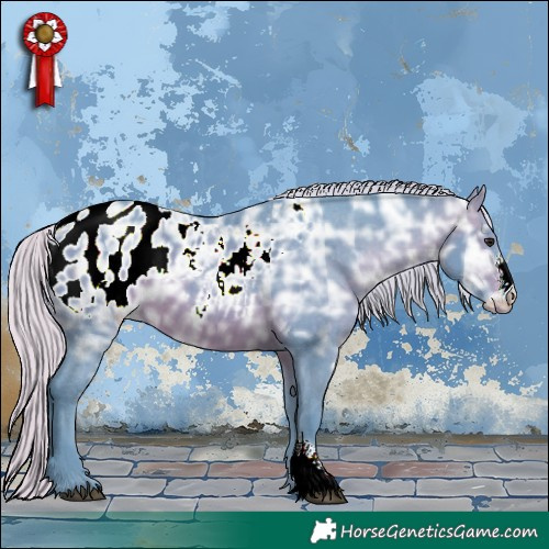Horse Color:Watercolor Silver Brown Ice Sabino Appaloosa 