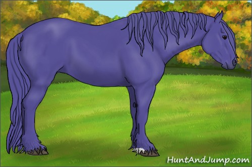 Horse Color:Watercolor Black 