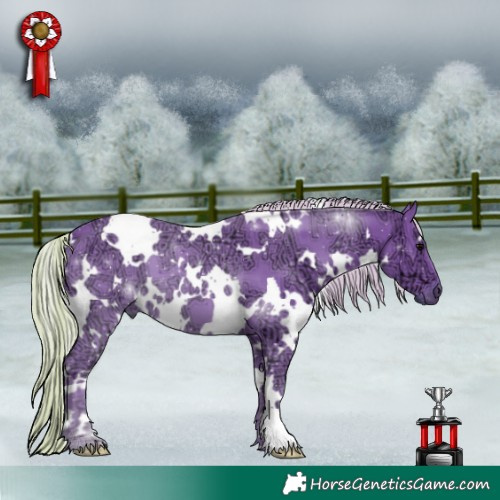 Horse Color:Watercolor White Spotted Silver Black Ice
