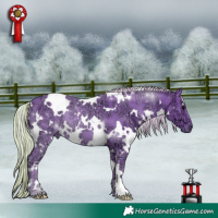 Horse Color:Watercolor White Spotted Silver Black Ice 