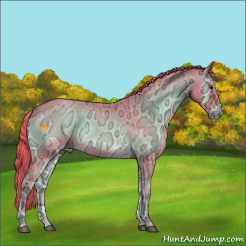 Horse Color:Watercolor Red Onyx Ice Roan 