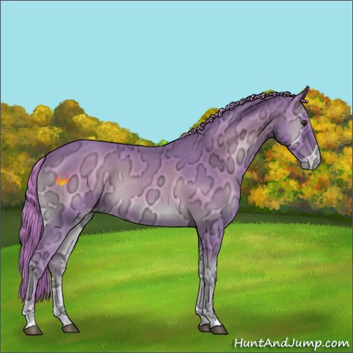 Horse Color:Watercolor Red Onyx Ice Roan Appaloosa