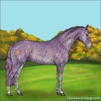 Horse Color:Watercolor Red Onyx Ice Roan Appaloosa 