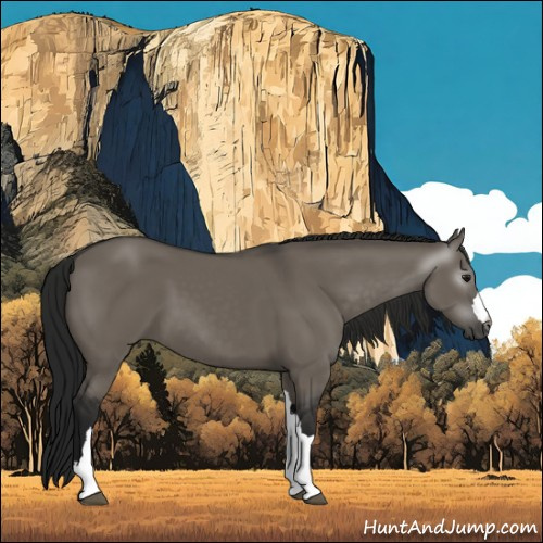 Horse Color:Gray Grullo