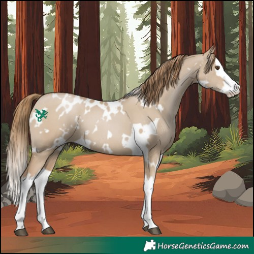 Horse Color:White Spotted Grullo Pearl Splash