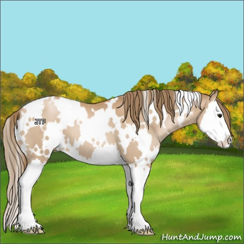Horse Color:White Spotted Black Pearl Splash