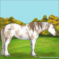 Horse Color:White Spotted Black Pearl Splash 