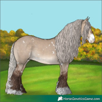 Horse Color:White Spotted Silver Brown Dun Sabino 