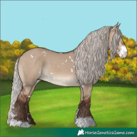 Horse Color:White Spotted Silver Brown Dun Sabino 