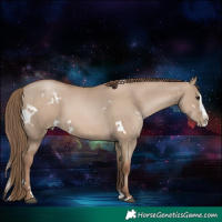 Horse Color:White Spotted Grullo Pearl Splash 