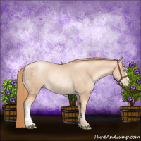 Horse Color:Gold Champagne Pearl Rabicano  and Gold Champagne Pearl Rabicano 