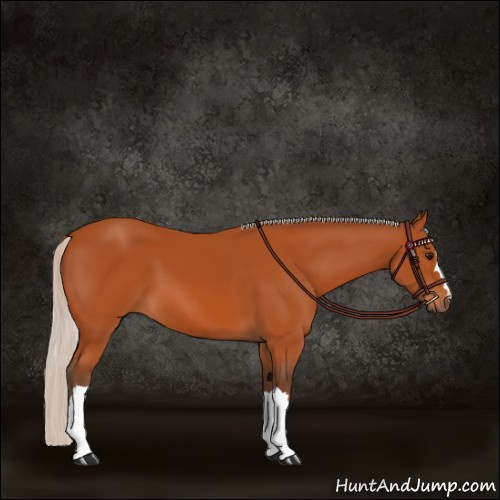 Horse Color:Silver Bay