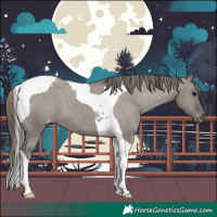 Horse Color:Grullo Tobiano Varnish 