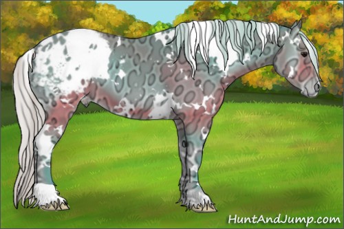 Horse Color:Watercolor White Spotted Silver Brown Ice Onyx Appaloosa 