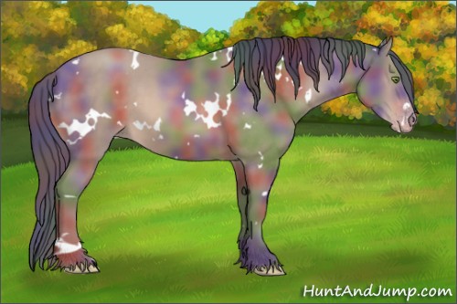 Horse Color:Nacre White Spotted Sable Champagne 