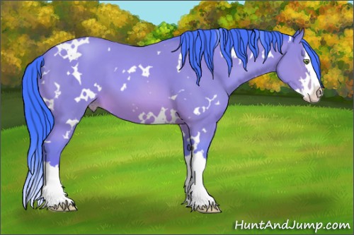 Horse Color:Watercolor White Spotted Sable Champagne Splash 