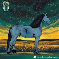 Horse Color:ERROR: UNKNOWN ANOMALY