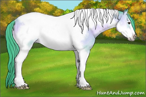 Horse Color:Watercolor Bay Onyx Tobiano Frame Rabicano 