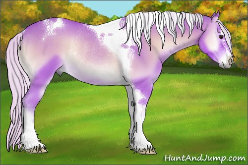 Horse Color:Watercolor Silver Brown Onyx Sabino Tobiano Rabicano 
