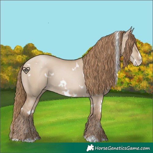 Horse Color:White Spotted Grullo Pearl Splash 