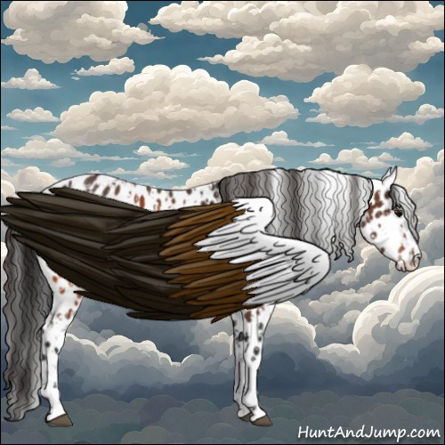 Horse Color:Bay Appaloosa  and Bay Appaloosa 