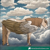 Horse Color:White Spotted Grullo Pearl Splash 