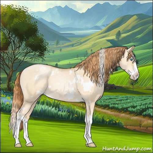 Horse Color:White Spotted Classic Champagne Pearl Dun Splash