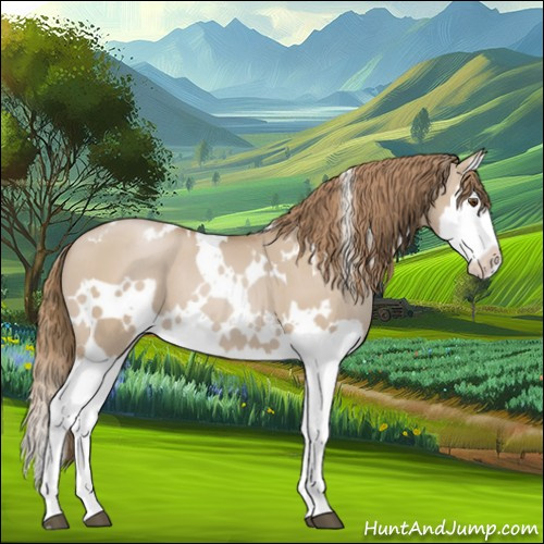 Horse Color:White Spotted Grullo Pearl Splash