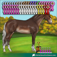Horse Color:Silver Brown 