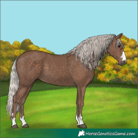 Horse Color:Silver Black 