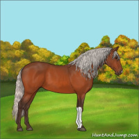 Horse Color:Silver Bay 