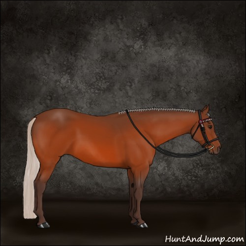 Horse Color:Silver Bay 