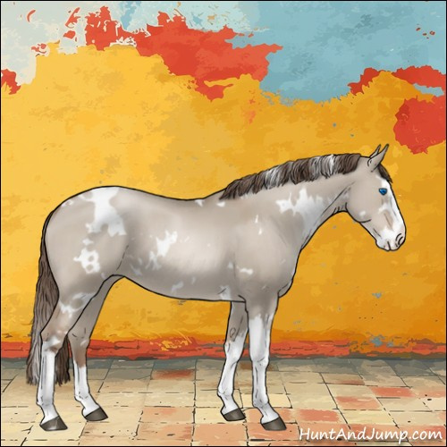 Horse Color:White Spotted Grullo Pearl Splash