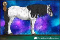 Horse Color:Brown Ice Roan Tobiano Near Leopard 