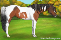 Horse Color:Brown Tobiano 